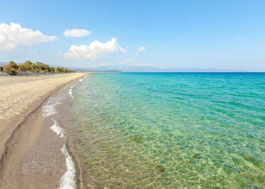 San Giorgio Luxury Apartments Ierissos Dış mekan fotoğraf