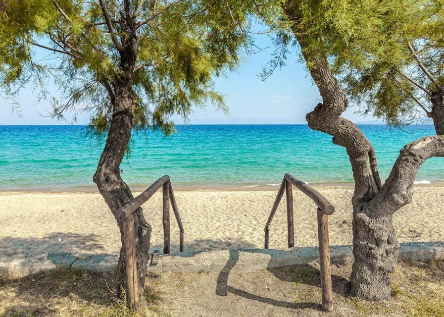 San Giorgio Luxury Apartments Ierissos Dış mekan fotoğraf